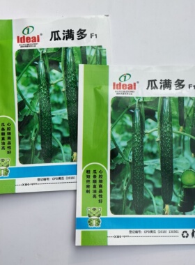 理想瓜满多黄瓜种子籽瓜把短密刺刺瘤明显瓜条顺直果肉厚呈淡绿色