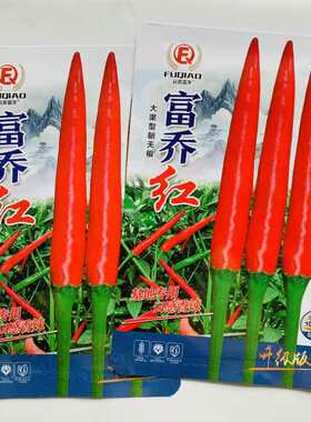 新品种富乔红大果朝天椒种子青红两用中晚熟辣椒种子果大硬果抗病