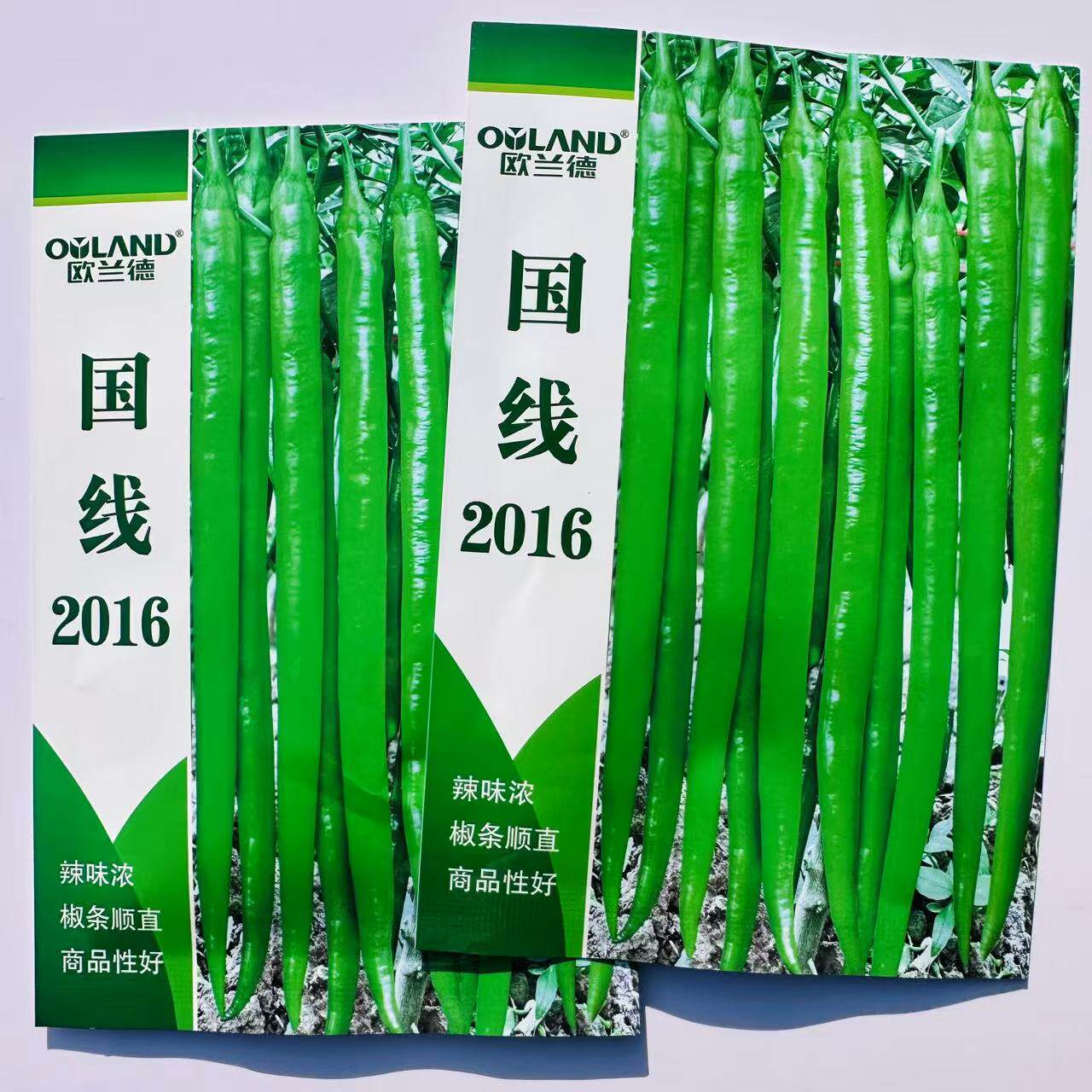 欧兰德国线2016特长线椒辣椒种籽高产早熟顺直香辣长条椒种子