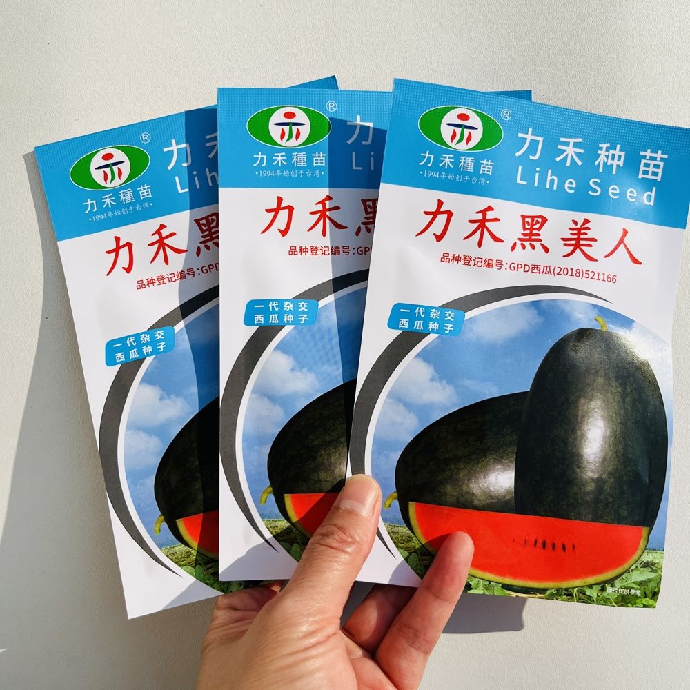 力禾黑美人西瓜种子早熟抗病大果红瓤西瓜种籽特甜大田蔬菜果种孑