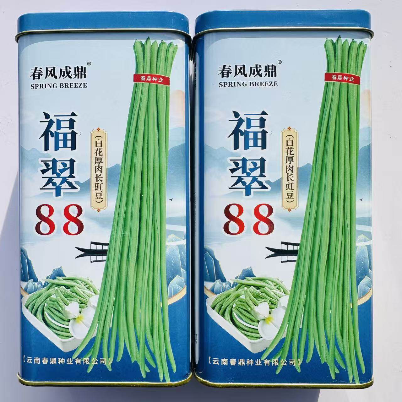 福翠88豇豆种子白籽白花厚肉长豇豆种子翠绿色长豆角种子