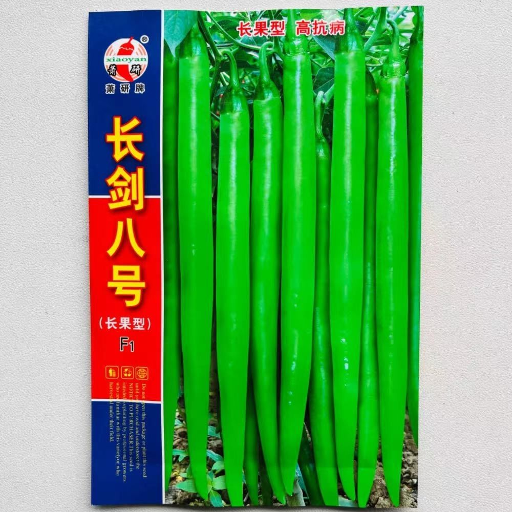 萧研长剑八号长线椒种子浅绿色线椒种子中熟黑长线辣椒种籽辣味浓