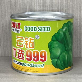 罐装云南姜柄瓜云钻改良999姜柄瓜籽爬藤嫩南瓜七叶瓜丫丫瓜种子