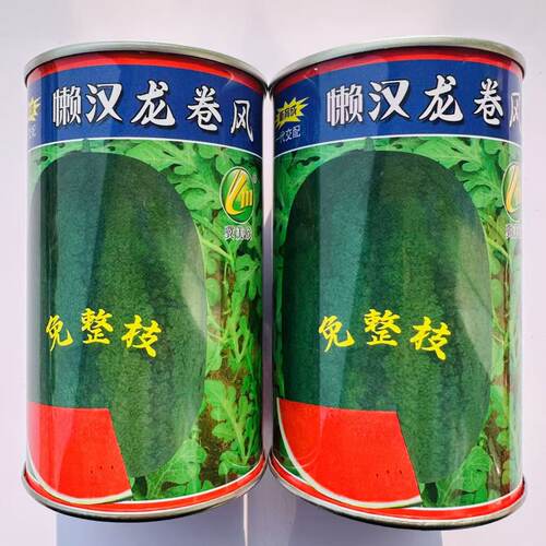 懒汉龙卷风西瓜种子特大懒汉瓜西瓜种子免整枝西瓜种籽重茬产量高