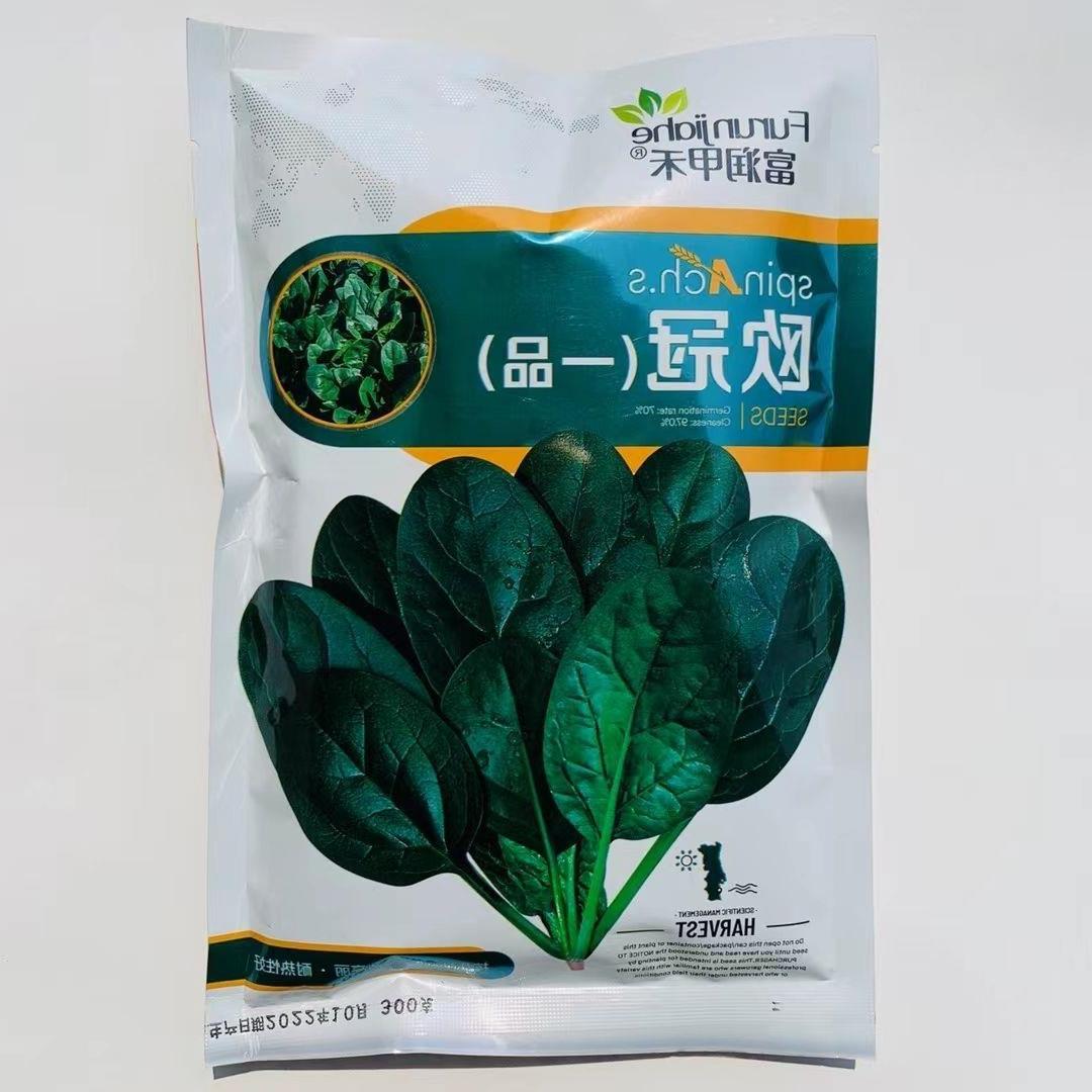 春秋菠菜种子一代纯欧冠