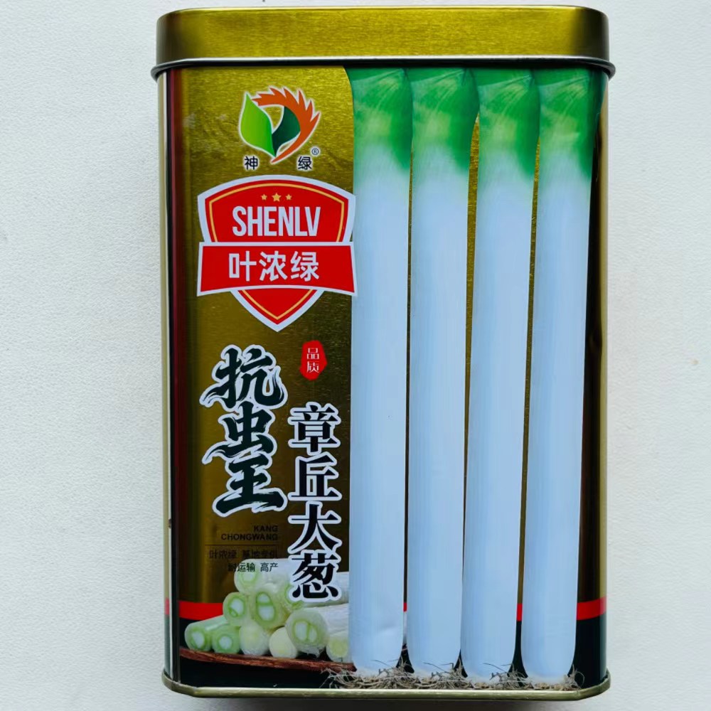 抗虫王章丘大葱种子高产抗病抗寒长白四季农家菜园蔬菜种籽200克