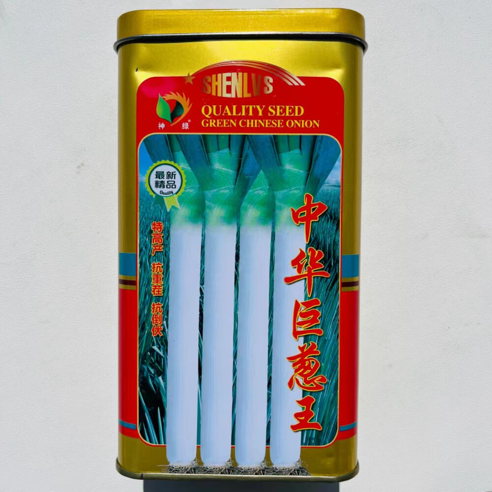 章丘葱种子铁杆型中华巨葱王大香葱耐热抗寒春季秋冬季铁杆四季
