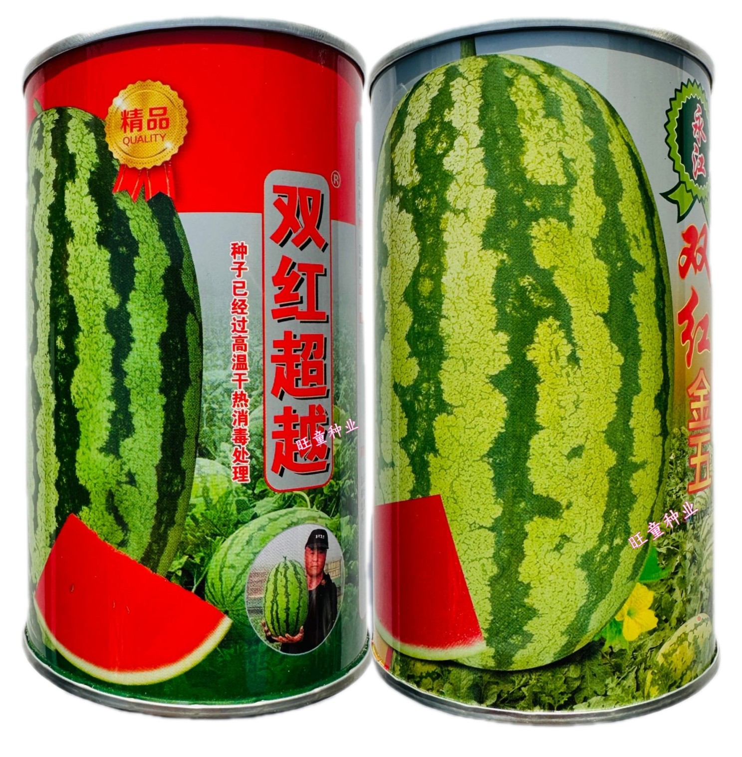 双红超越双红金五西瓜种子脆甜椭圆大果红瓤西瓜种子耐重茬抗病强