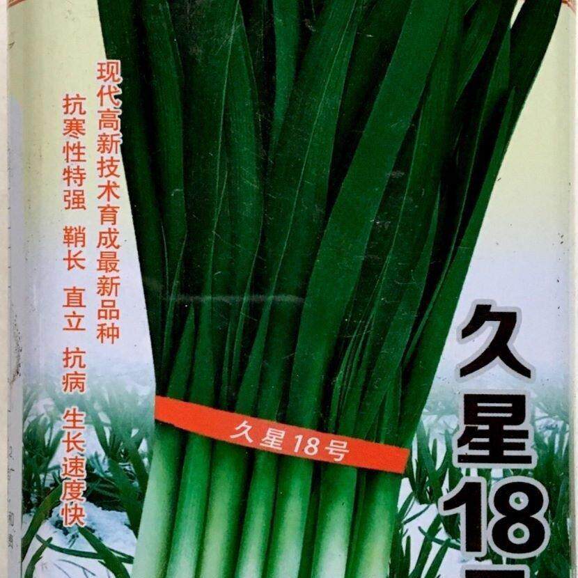 久星18号16号10号2号韭菜种籽高