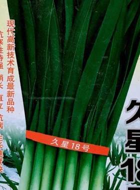久星18号16号10号2号韭菜种籽高