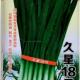久星18号16号10号2号韭菜种籽高产耐寒不休眠河南韭菜种子原包装