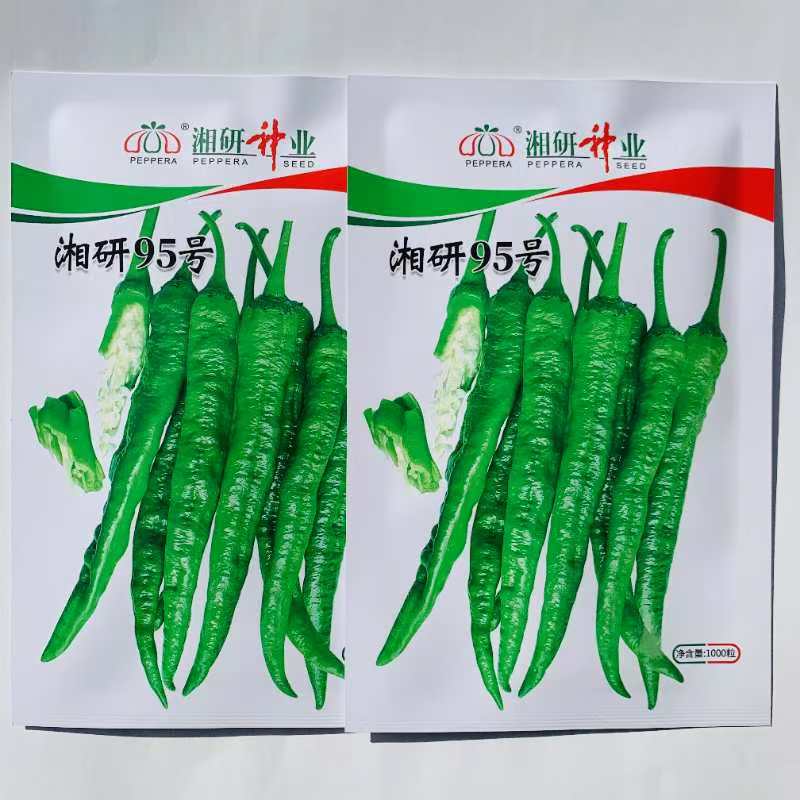 湘研95号皱皮辣椒种子籽早熟皮薄味辣高产春秋种植1000粒