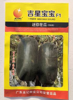 吉星宝宝迷你冬瓜种子小型黑皮冬瓜种籽早熟高产易坐果四季蔬果种