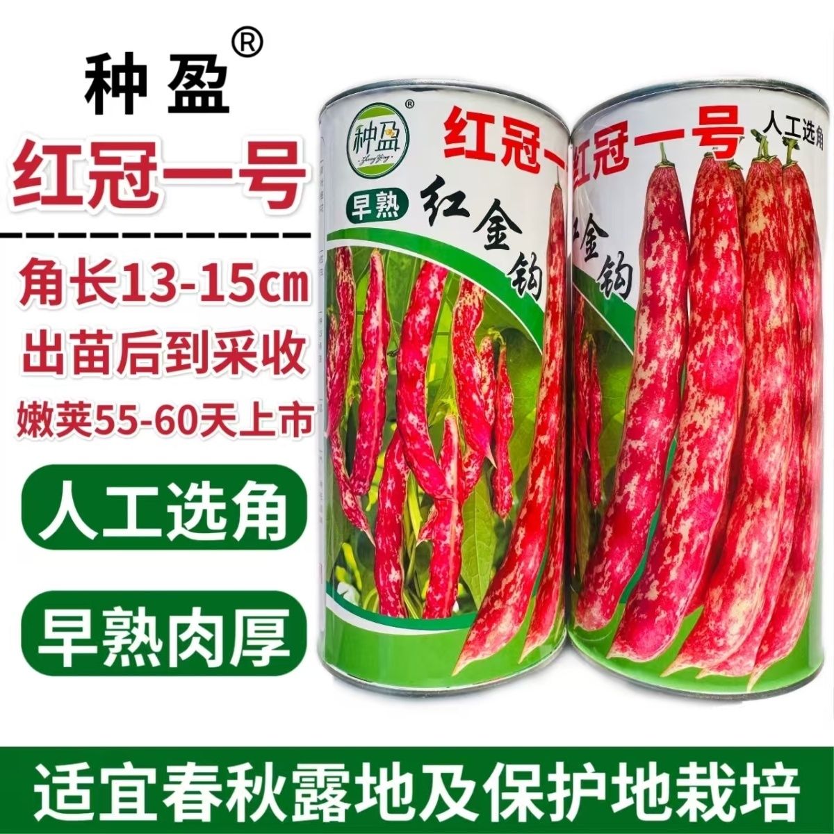 种盈红冠一号早熟红金钩豆角种子蔓生圆角肉厚肉质细腻春秋季种植