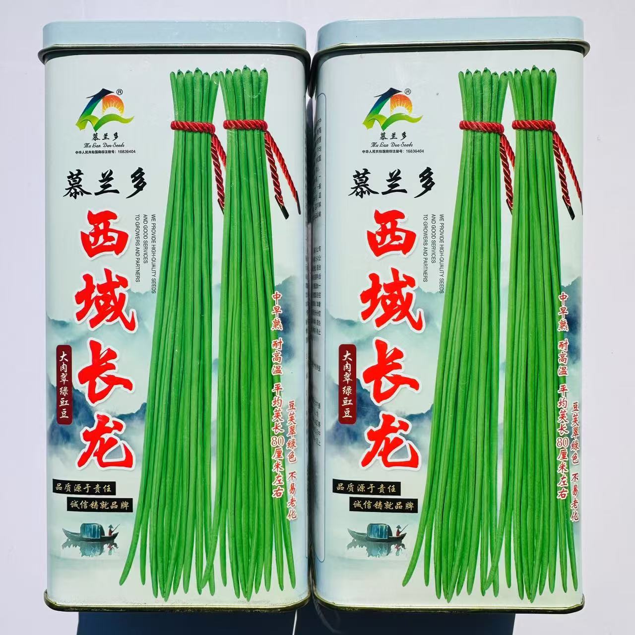 高抗枯萎病西域长龙豇豆种子耐热春夏秋大肉翠绿色长豆角种籽实心