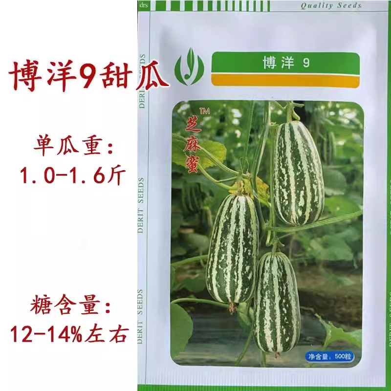 博洋9号甜瓜种子正品博洋91号羊角蜜种甜王早熟高甜酥脆抗病香瓜