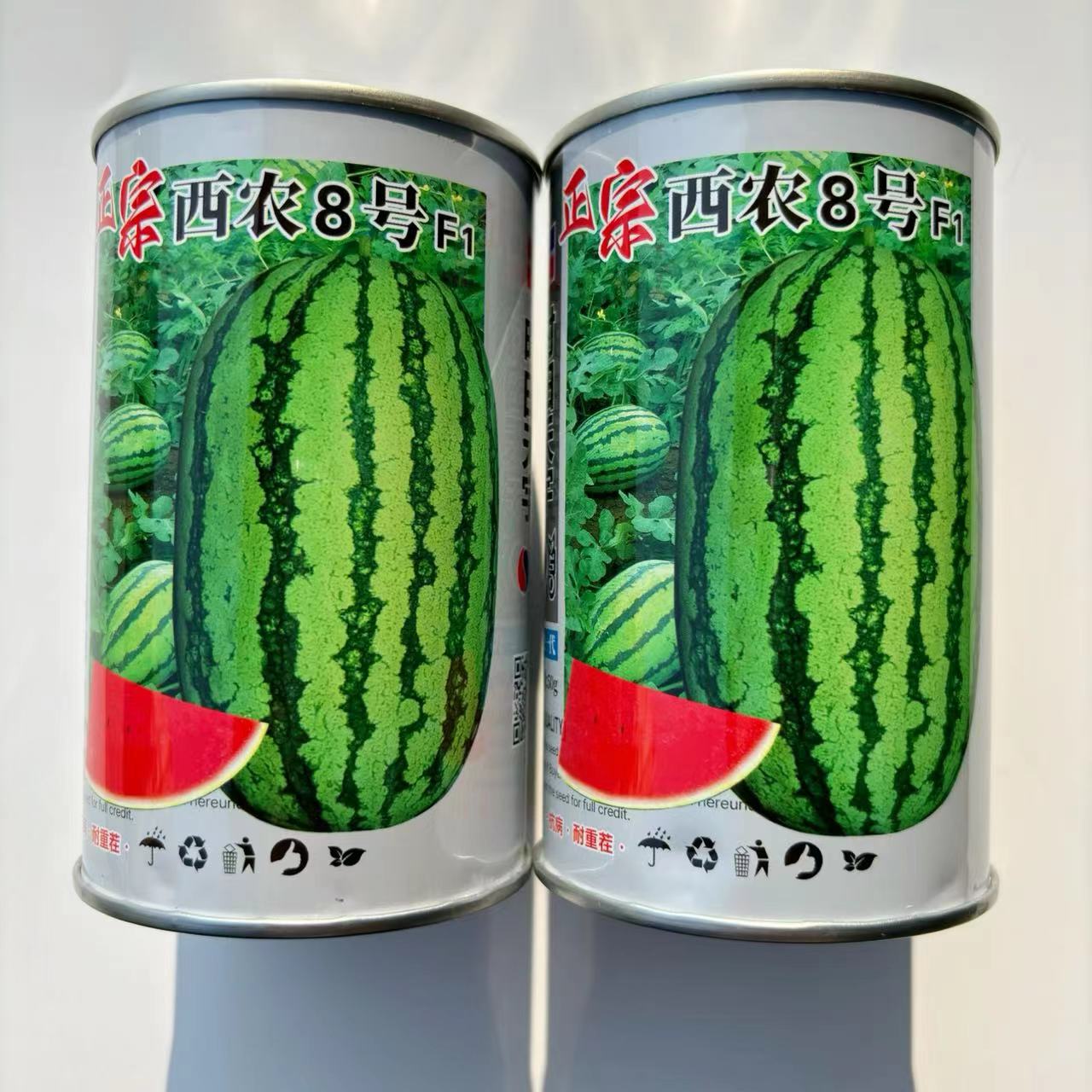 正宗西农8号西瓜种子 春夏播种大果椭圆形种籽高抗枯萎耐重茬耐运