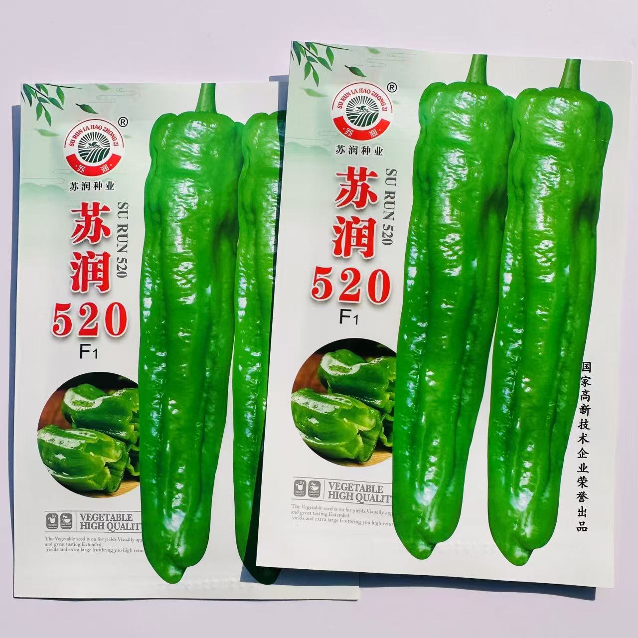 苏润520牛角椒种子早熟青椒特大果粗长牛角辣椒种子微辣高产基地