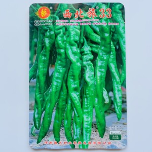 河南豫艺种业 豫艺大麻花螺丝椒高产味辣椒形好 辣椒10克大田用种