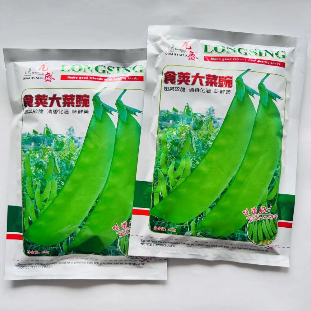 四川大菜豌种子食荚菜碗豆荚荷兰