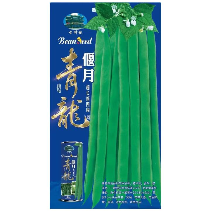 青龙偃月四扁豆角种子早熟型无纤维扁条高产基地四季种植豆角种子