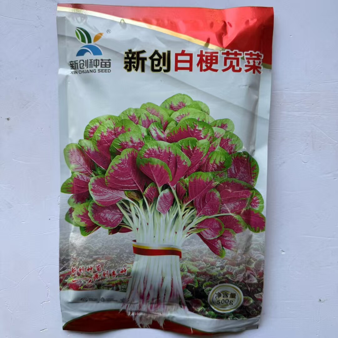 新创白梗苋菜种子早熟浅白梗圆叶花红苋菜种子耐热耐旱长寿菜种子