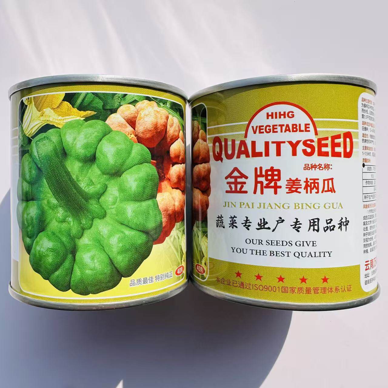 金牌姜饼瓜种子蔓生扁圆形云南姜柄瓜种子嫩南瓜七叶瓜绿菜瓜种子