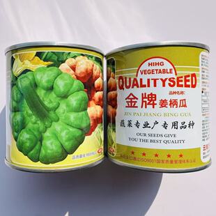 金牌姜饼瓜种子蔓生扁圆形云南姜柄瓜种子嫩南瓜七叶瓜绿菜瓜种子