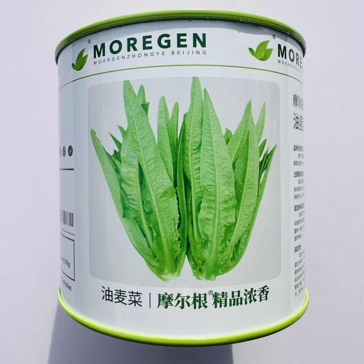 丸粒化油麦菜种子摩尔根浓香油麦菜籽宽叶无斑点叶香郁甜脆产量高