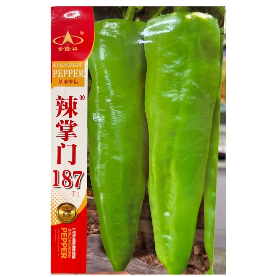 金隆祥辣掌门187辣椒种子粗长牛角椒种籽黄绿皮尖椒种子高产抗病