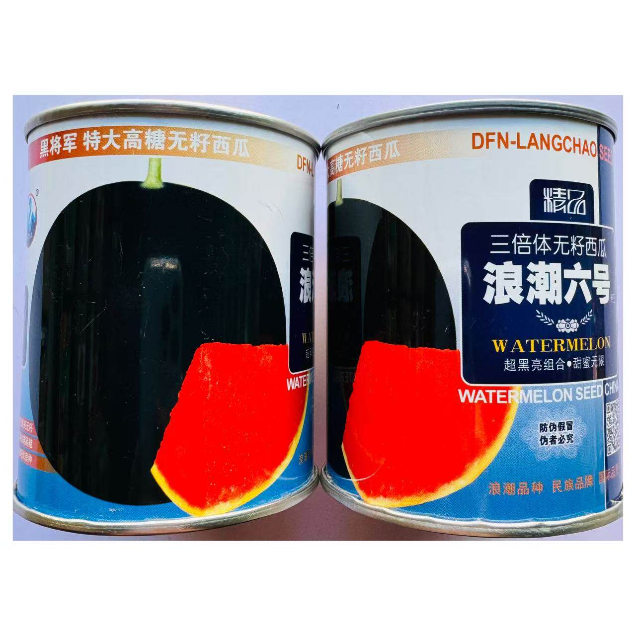 浪潮六号高产无籽西瓜种子黑皮红瓤甜大果型三倍体无子四季播春季