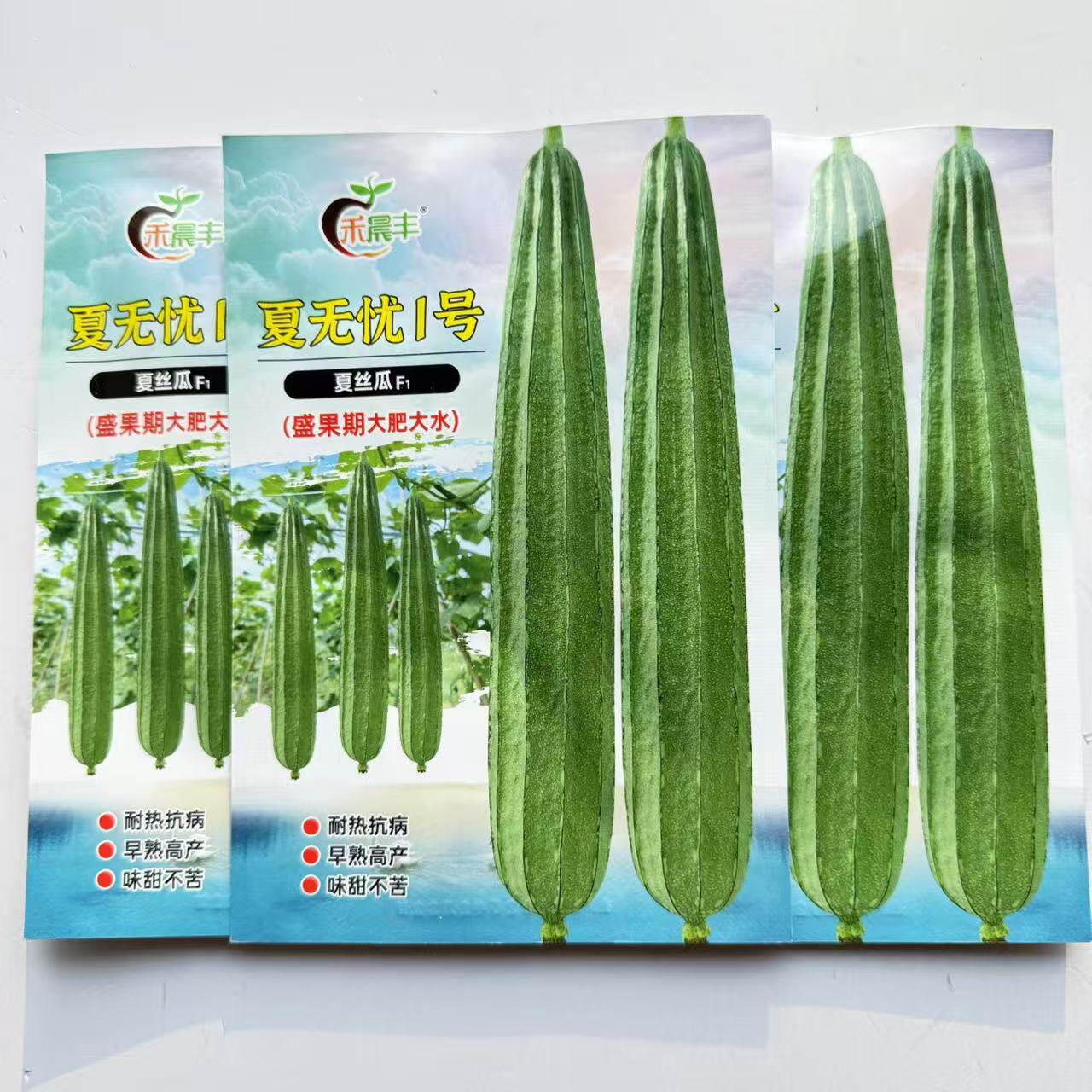 海南晨峰夏无忧夏播花点肉丝瓜种子早熟耐热棱角甜丝瓜肉厚品质佳