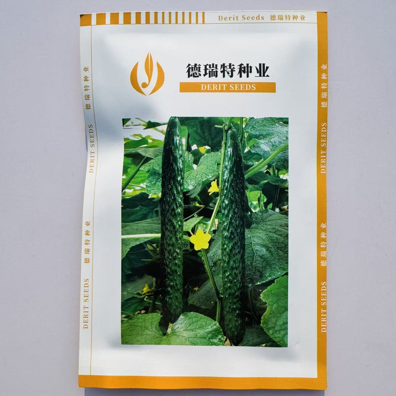 博美61黄瓜种籽高产耐热短把密刺青皮绿肉油绿春夏秋黄瓜种子