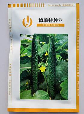 博美61黄瓜种籽高产耐热短把密刺青皮绿肉油绿春夏秋黄瓜种子
