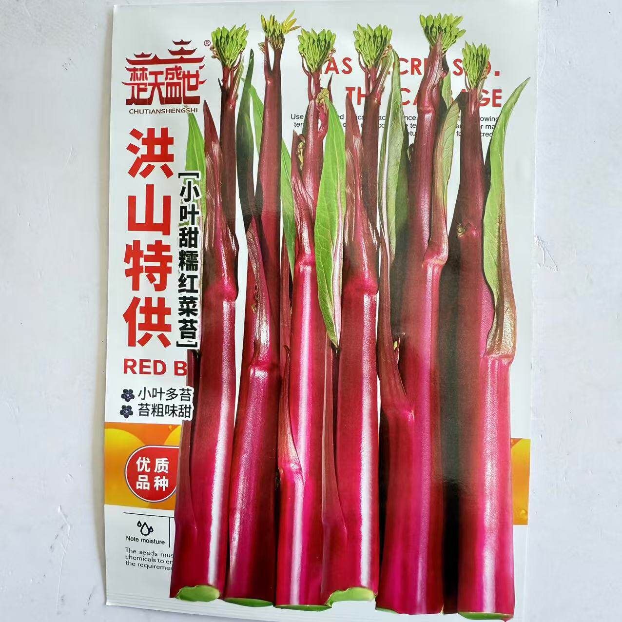 洪山菜苔种子正宗湖北武汉紫色菜苔种小叶多苔苔粗味甜农家阳台种