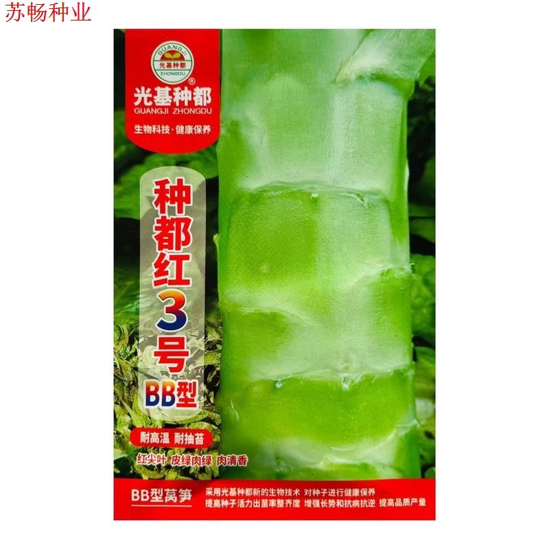 种都红3号莴笋种子耐高温红尖叶青皮绿肉秋季播清香莴苣莴笋种籽