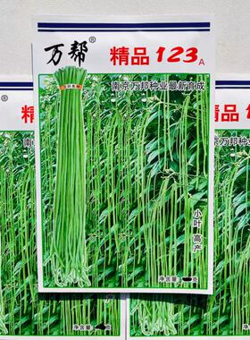 万帮 精品123长豇豆种子高产厚肉淡绿色豆角种子耐老化春夏秋季播