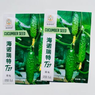 103升级新品种海诺瑞特T21强雌黄瓜种子脆甜华南北方专用水果黄瓜