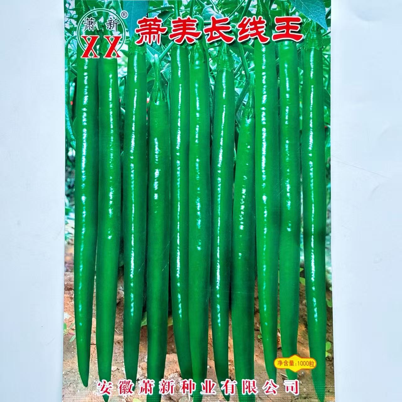 萧新长线王线椒种籽香辣羊角型辣椒种子农家大田基地春秋季播种孑