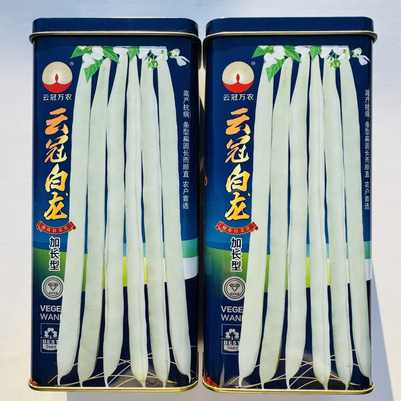 云冠白龙加长大白条豆角种子早熟高产长势强高抗病嫰荚青白色芸豆