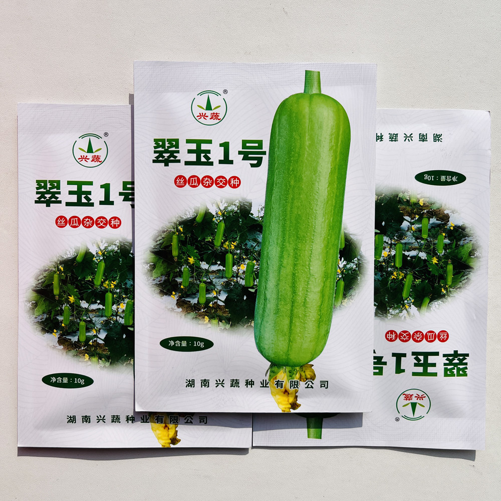 翠玉1号丝瓜种子油亮光滑白绿丝瓜早熟光皮水瓜种子口感甜汁白色