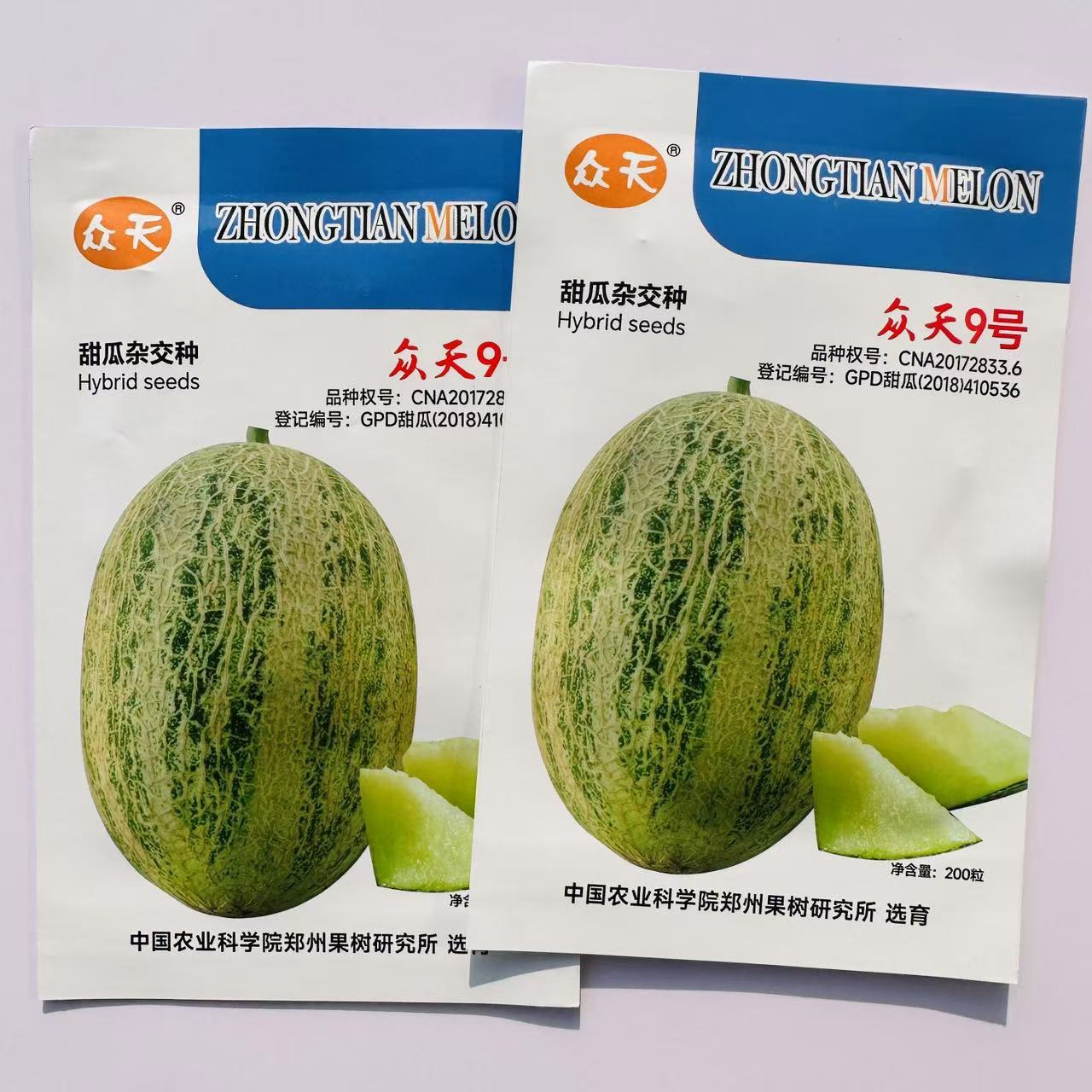 众天9号甜瓜种子中熟网纹厚皮香瓜种子肉脆细嫩无渣春秋水果种子