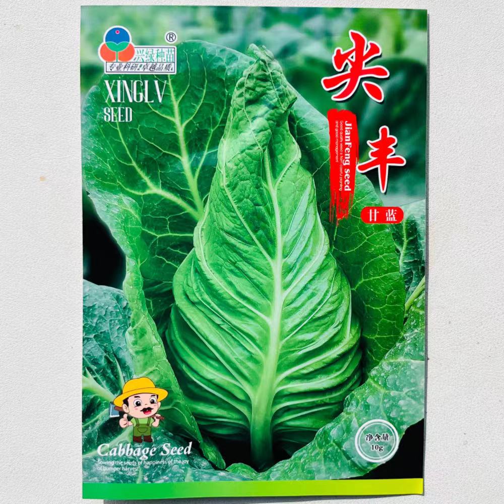 尖丰牛心甘蓝种子杂交早熟质地脆嫩包菜卷心菜种籽农家春秋季播种