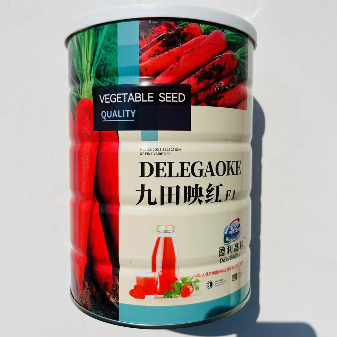正品九田映红胡萝卜种子红皮红肉胡萝卜种籽春秋四季高产耐寒种孑
