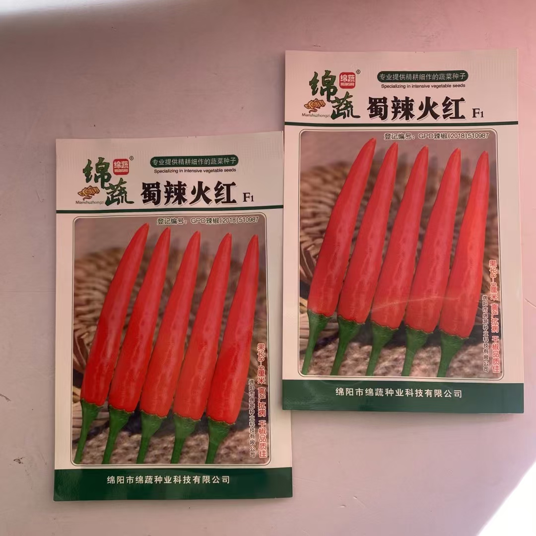 绵蔬种业蜀辣火红辣椒种中熟单生朝天椒种籽辛辣味特浓尖辣椒高产