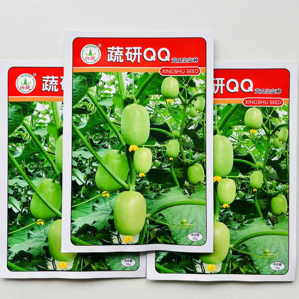 兴蔬种籽蔬研QQ水果黄瓜种子强雌光滑无刺早熟高产春秋播黄瓜种孑