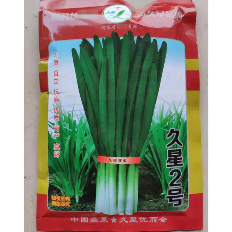 久星23号韭菜种子休眠品种春季早发直立性强鞘长肥嫩产量高抗衰老