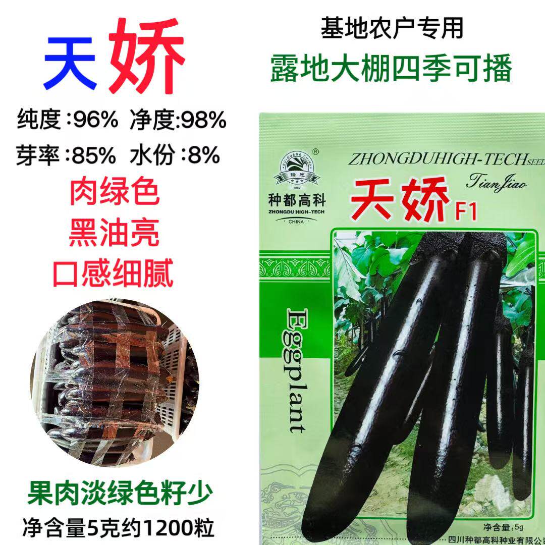 天骄黑贵人长茄子种子黑神黑龙茄子种籽黑紫色早熟高产蔬菜长茄孑