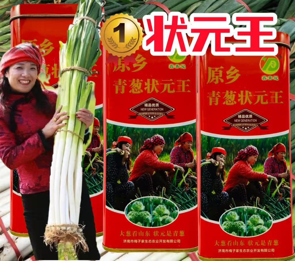 山东章丘高白大葱状元种子青葱状元王抗病高产特高耐寒耐热葱种籽