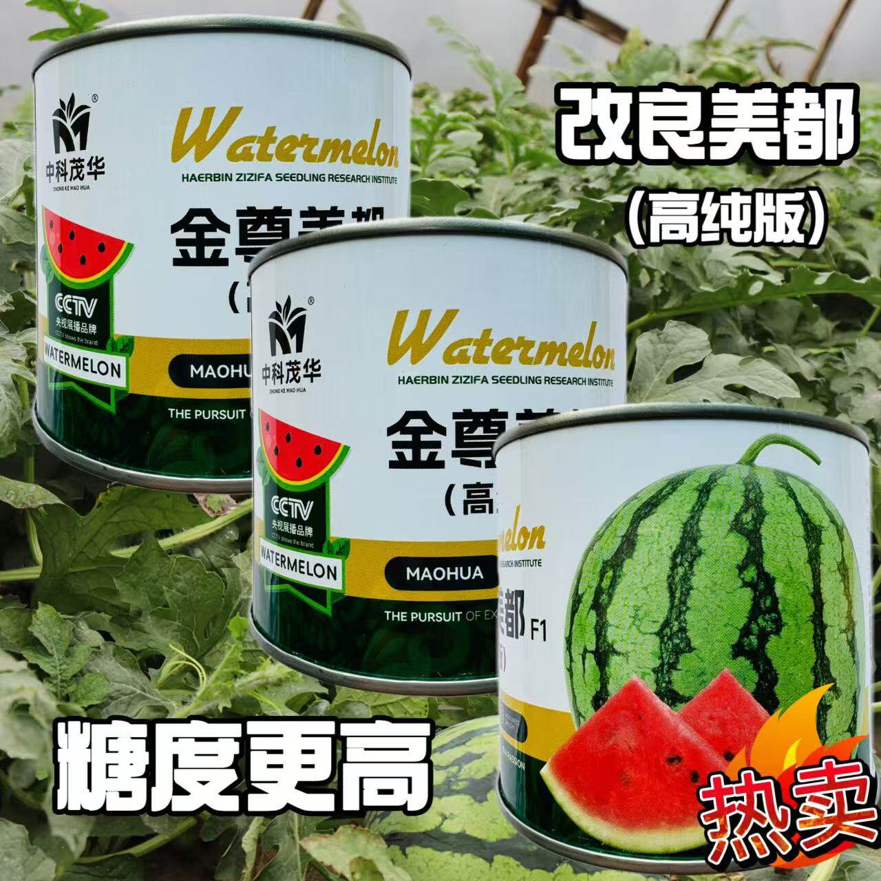 茂华金尊美都西瓜种子薄皮抗裂早熟超甜基地专用粉红壤西瓜种籽孑